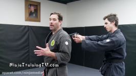 Handgun Disarms for Bujinkan Ninjutsu on Ninja Training TV