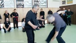 Bujinkan Ninja Master Noguchi Sensei Ninjutsu Breakdown Weight Shifts and Spine Twists