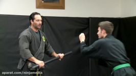 Ninja Stick Fighting Hanbo Chokes and Takedowns for Bujinkan Ninjutsu