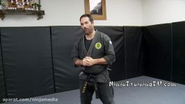 Gyoku Ryu Waza Koryaku for Sword Disarms for Bujinkan Ninjutsu