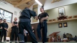 Ninja Grandmaster Ninjutsu Pain Compliance Techniques Masaaki Hatsumi