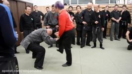 Bujinkan Hombu Dojo Masaaki Hatsumi