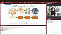 وبینار  انقراض یا تکامل