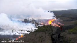 Hawaii Volcano  2011 Kamoamoa fissure eruption six months later