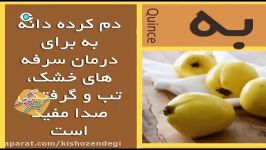 كیش زندگی  خواص خوراكیها  به هزاران خاصیت درمانی