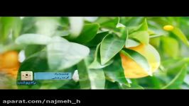 نماهنگ چشم به راه صدای گرشا رضایی