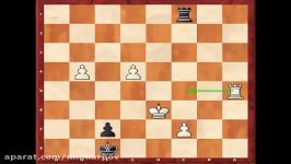 Chess Endgames  Defensive Resources in Rook Endgame