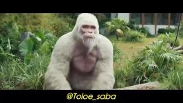 تریلر فیلم سینمایی Rampage دوبله فارسی