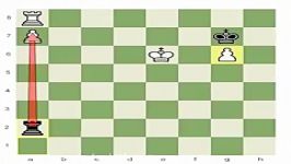 Learn Chess Rook Endgames Beginner to Master Part 8