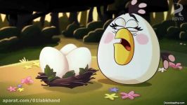 Angry Birds Toons  E50