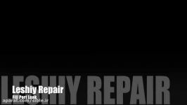 Leshiy repair