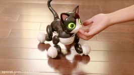 گربه رباتیک زومر