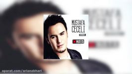 Mustafa Ceceli Şarkı Radio Mix.