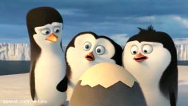 Penguins Of Madagascar  starting scene