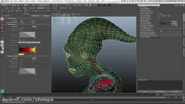 Skeleton Creation and Adjustment Pt. 2  Maya LT 2015  Autodesk