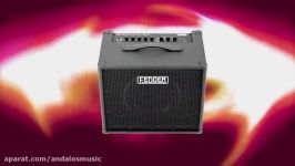 آمپلی فایر فندر مدل Bronco™ 40 Bass