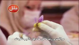 زعفران قائنات؛ گزارش تلویزیون عمان زعفران ایران؛ زعفران ملل