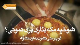 کلیپ طنز گرانی تخم مرغ شوخیه مگه بذاری بری نمونی...