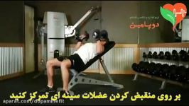 حرکت سینه دمبل چکشی نیمکت شیب دار Hammer Grip Incline DB Bench Press