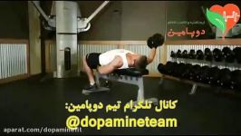 حرکت فلای سینه دمبل تک دست One Arm Flat Bench Dumbbell Flye