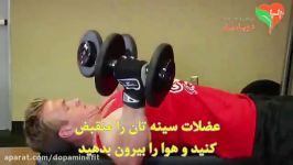 دمبل فلای Dumbbell Flyes