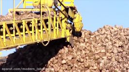 Sugar Beet Processing