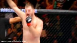 BEST KNOCKOUTS IN THE UFC OF 2017 BRUTAL Pt.1