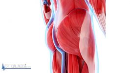 Are you Suffering from WEAK Glutes with Gluteus Maximus Gait