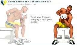 Concentration curls  Biceps Exercises