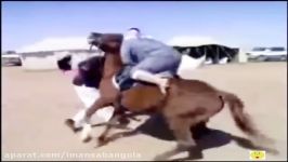 Funny Arab HD عجب اسب سواریه ابو دبابه