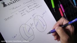 Thalamic Nuclei and Connection