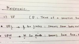 Thalamus Nuclei  Neuroscience  USMLE STEP 1  Made Ridiculously Simple with Mnemoic