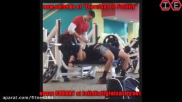 Gym Idiots  The Bench Press Hip Thrust