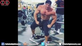 Gym Idiots  Brad Castleberrys Cheat Bench Press Dana Linn Bailey#0