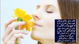 بهترین عطرهای بازار