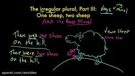 Irregular plural nouns  base plurals  envideo