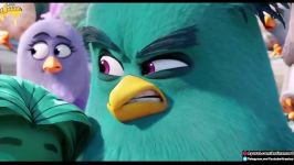 انیمیشن جذاب تماشایی پرندگان خشمگین Angry Birds 2016