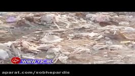 زباله های رها شده در حاشیه رودخانه سعید آباد جاجرود