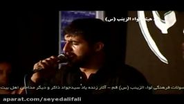 سید علی فالی  مهلا مهلا یابن الزهرا شور