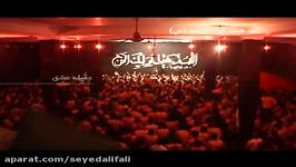 سید علی فالی  عشقم کشیده دیوانه باشم شور