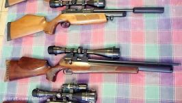 Sound Comparison of Six PCP Air Rifles