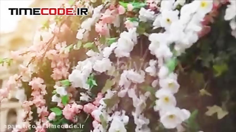 دانلود پروژه آماده افترافکت مخصوص کلیپ عروس