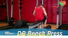 پرس سینه دمبل Dumbbell Bench Press