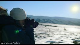 See How Dog Sledding Helped This Photographer Get Her Spark Back  Short Film Sh