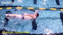 Backstroke  Dynamo Catch