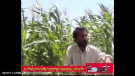 آهنگ بلوچی خواننده مرحوم ابراهیم آسکانی