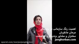 اهمیت رنگ سازمانی در فرآیند برندینگ قسمت پایانی