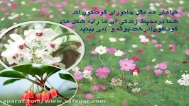 علوم چهارم  صفحه 93  گوناگونی گیاهان