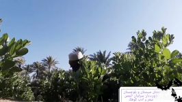 منظره زیبای دهستان مرزی کوهک۳