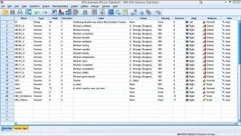 Principal Component Analysis on SPSS